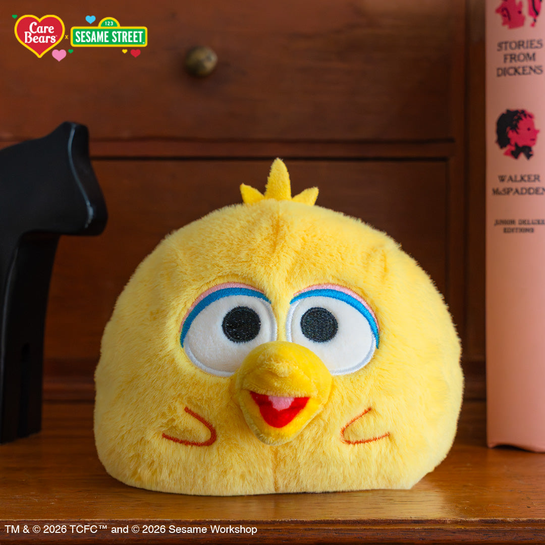 Funshine Bear & Big Bird 4" Reversible Plushie Unisex