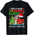 Truck Christmas Costume