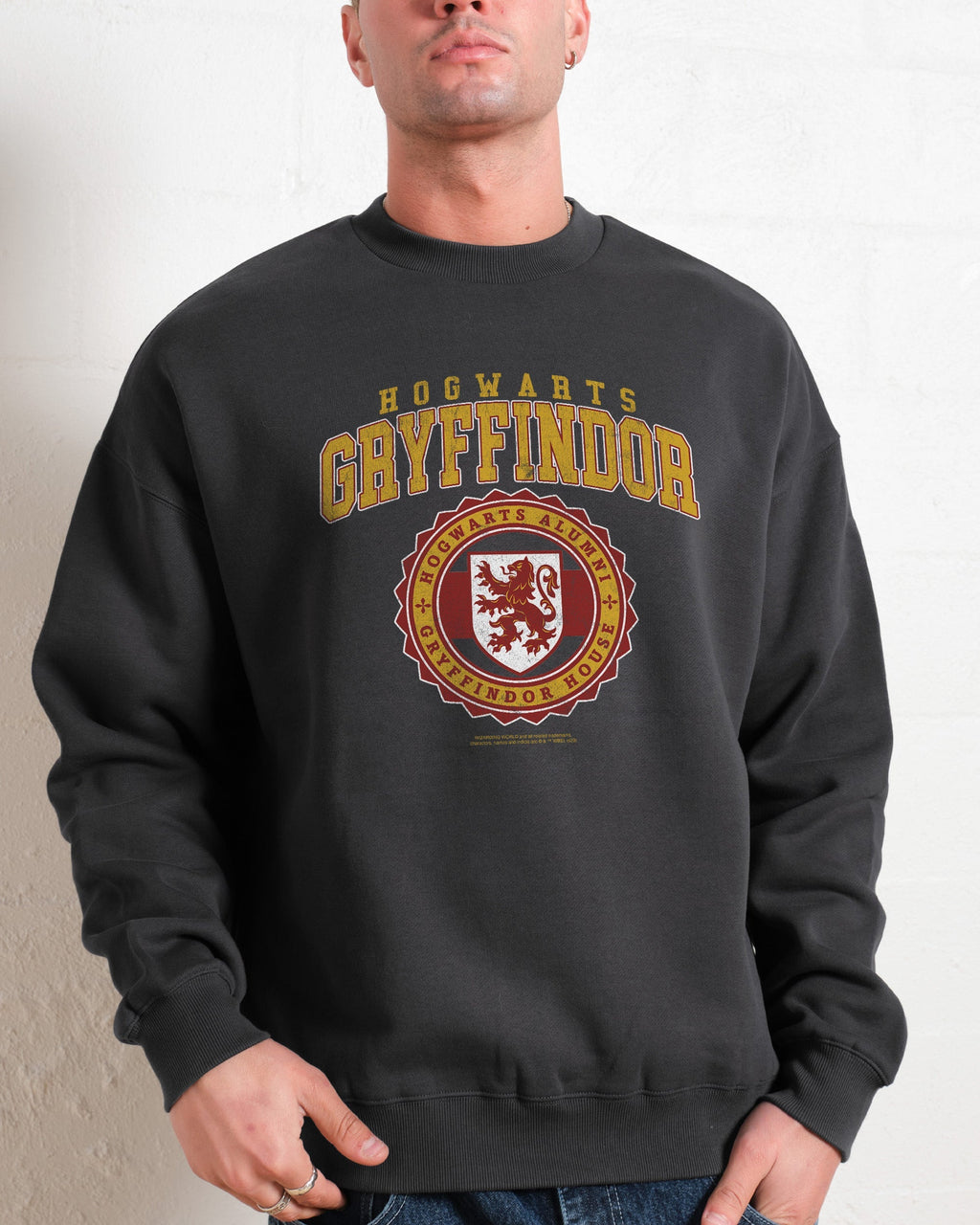 Gryffindor College Unisex