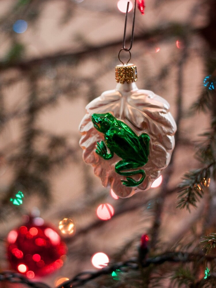 Frog Ornament Photography Print by griffingphoto
