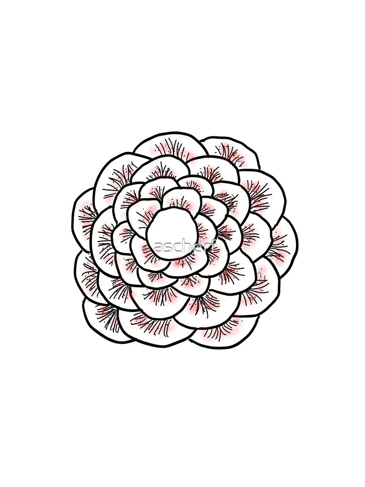 Red Flower by ascherf