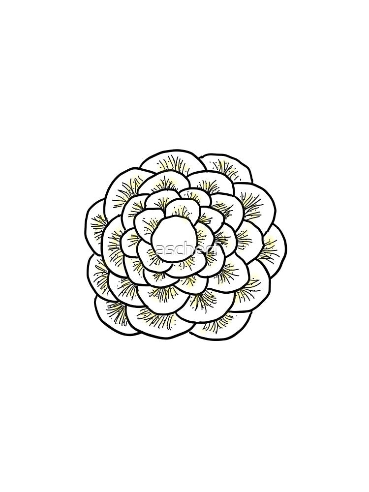 Yellow Flower by ascherf