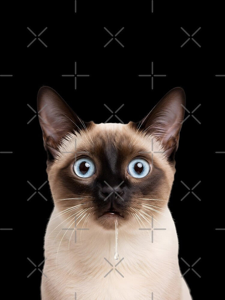 Drooling Siamese Cat Meme Face by teeperfect