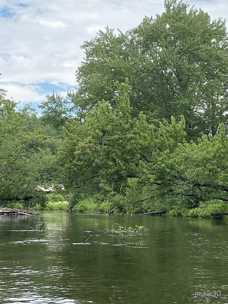 Greenery by the Rivermouth by Mychaila's Creations