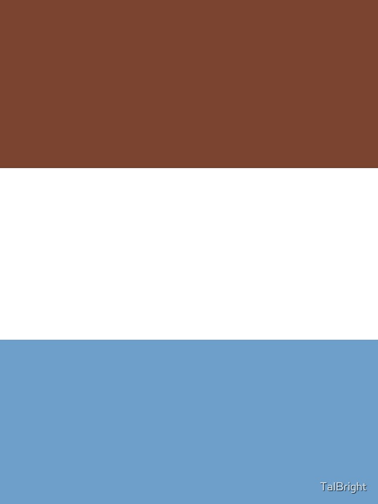 Retro Stripes - Seventies Vintage Style by TalBright