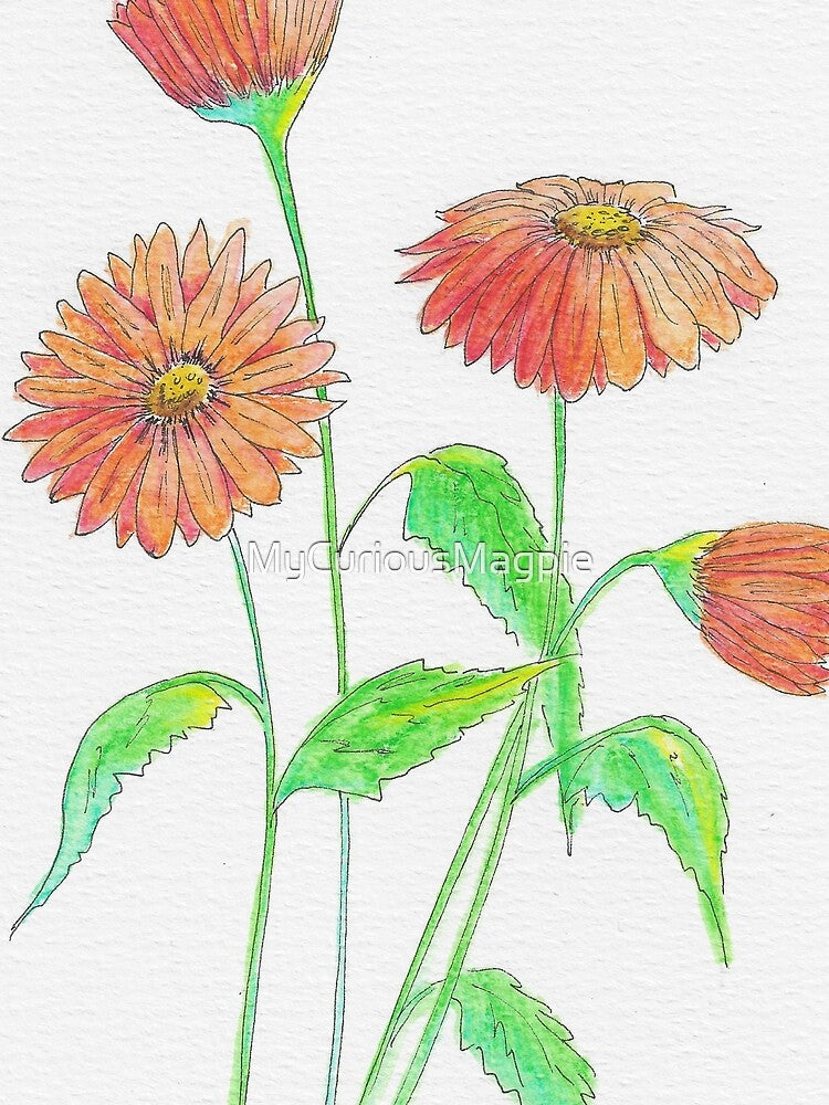 Hand Drawn Orange Daisies by MyCuriousMagpie