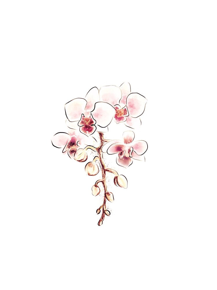 Pink orchid flowers watercolor branch by Kasandraw
