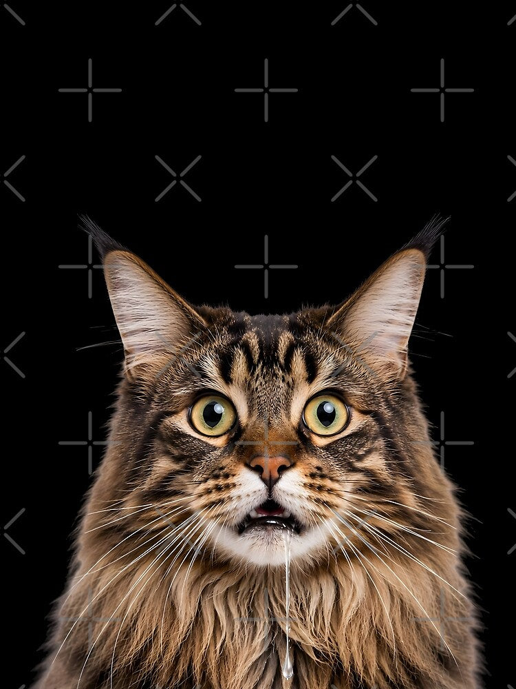Drooling Maine Coon Cat Meme Face by teeperfect