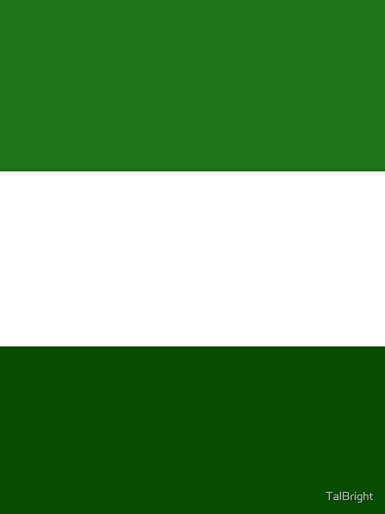 Retro Stripes - Green by TalBright