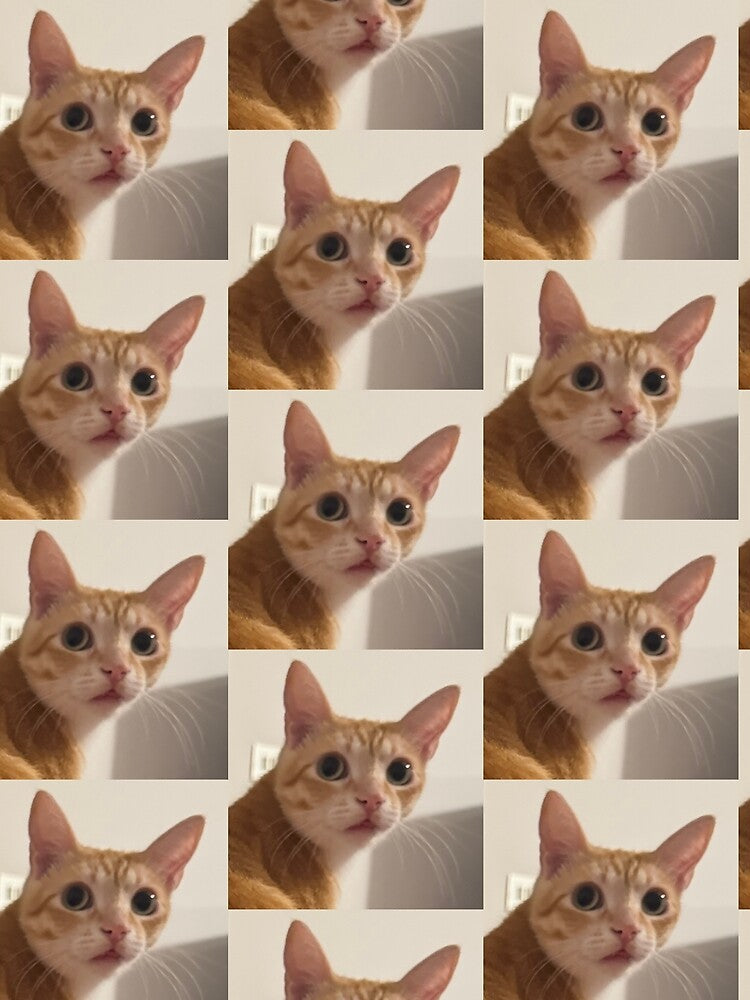 Orange cat meme by Ali-neko-kawaii
