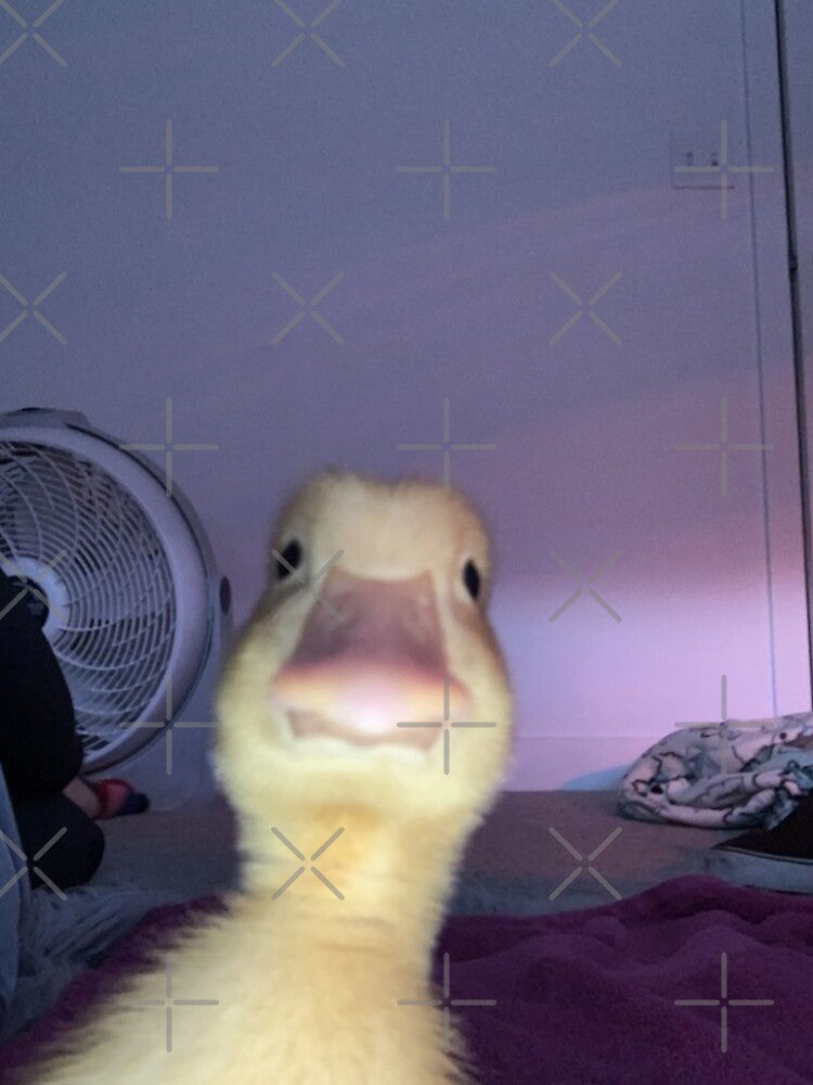 Baby Duck by Professional Memer