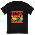 Black History Is American History V-Neck Unisex