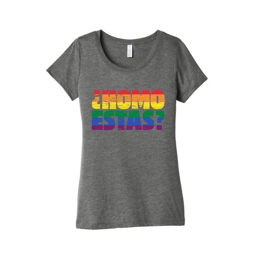 Homo Estas Womens Triblend Tee Unisex