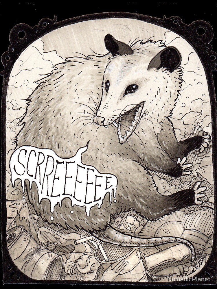 Opossum by NomadicPlanet