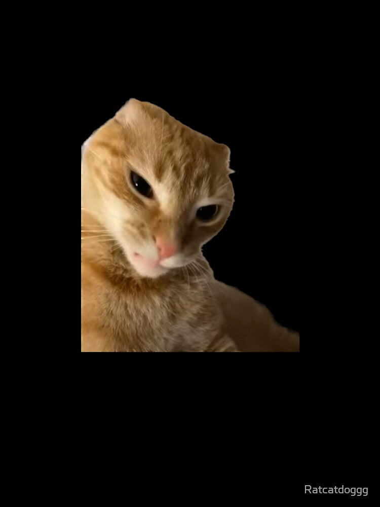 Angry orange cat meme by Ratcatdoggg