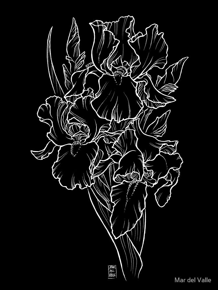 Irises - White Line by Mar del Valle