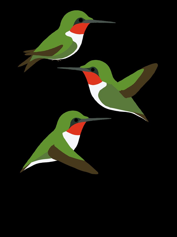 Funny Birds Hummingbird by alwe-designs