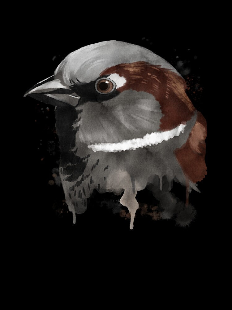 Splash Bird Sparrow by alwe-designs