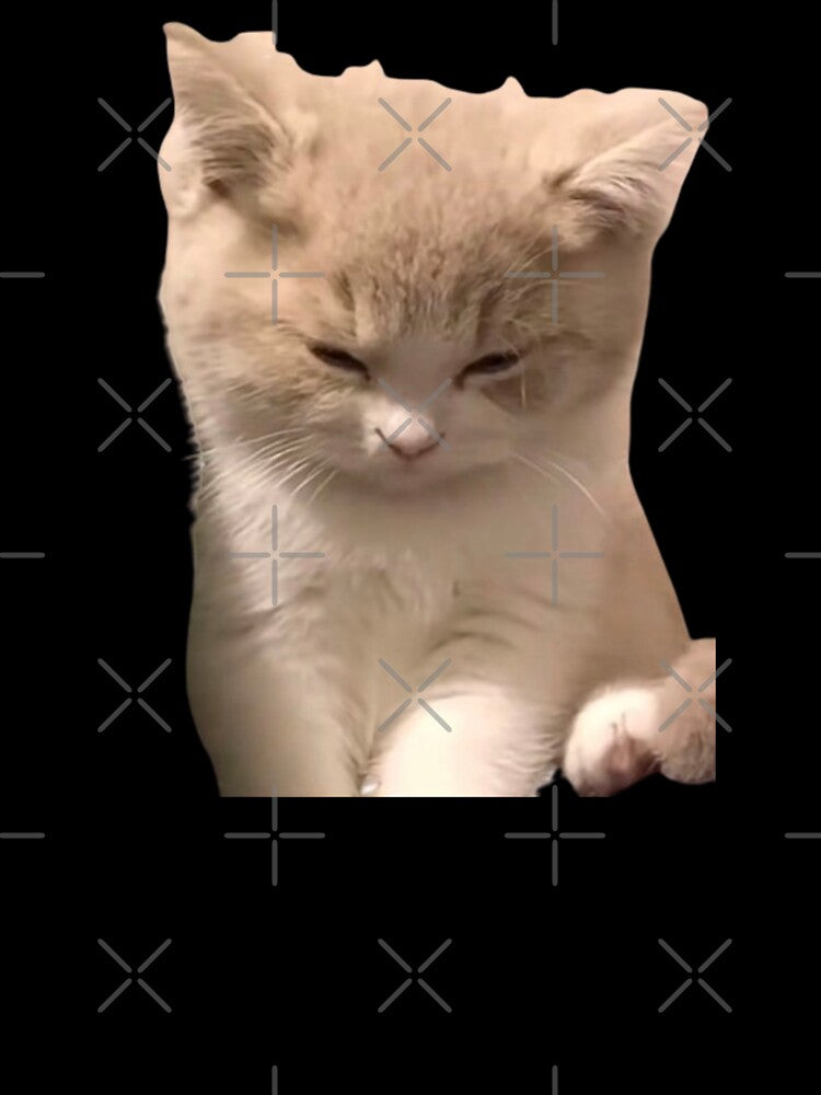 Sad face cat meme by Rrrmin
