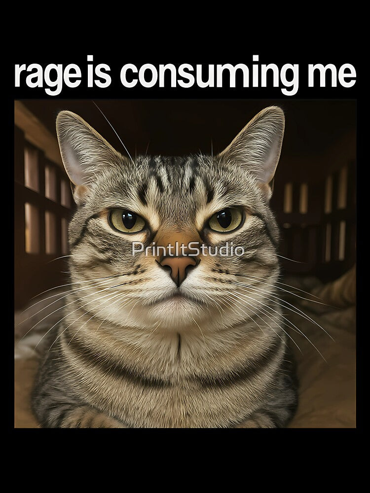 Rage Is Consuming Me Silly Staring Cat Meme by PrintItStudio