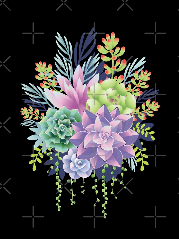 Succulents by zoljo