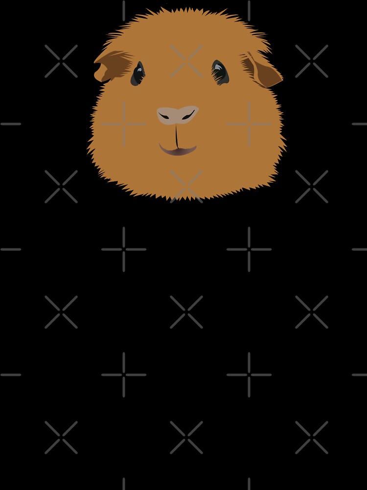 Orange Guinea Pig by KCPetPortraits