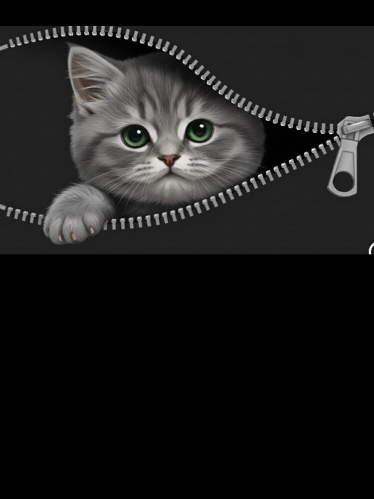 ​Zipped In Cutie. Cute cat 'funny cat. by ZyVoAli