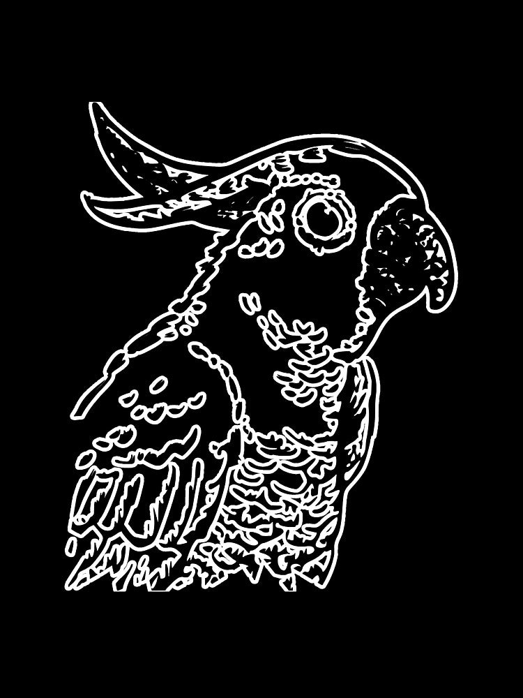 Cockatoo Bird Avian Bird Watching by unassertive19