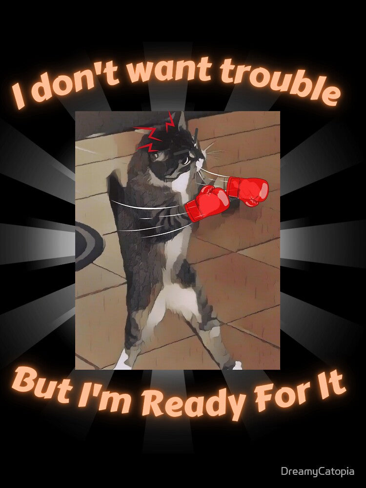 Funny Cat Meme – Fighting Cat by DreamyCatopia