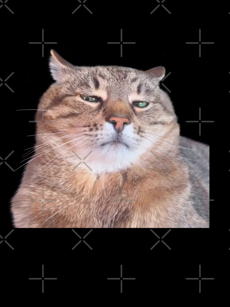 Ukrainian Stepan cat Meme by Prime_Store
