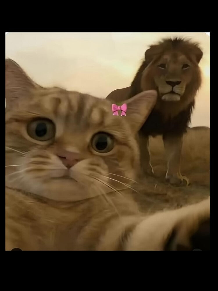 Cat Selfie With Lion — Funny Cat Meme by Weirdly_Worn