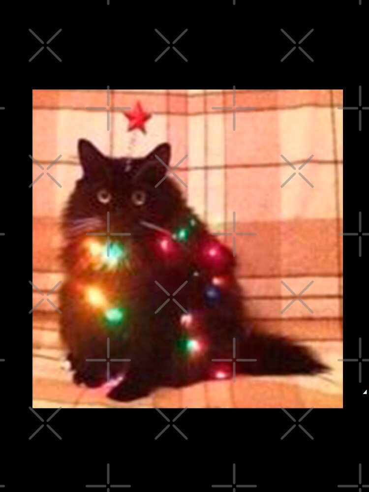 christmas cat meme by valwerty