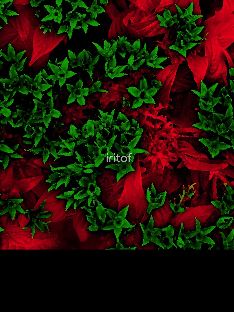 Green & Red  by Iritof by iritof