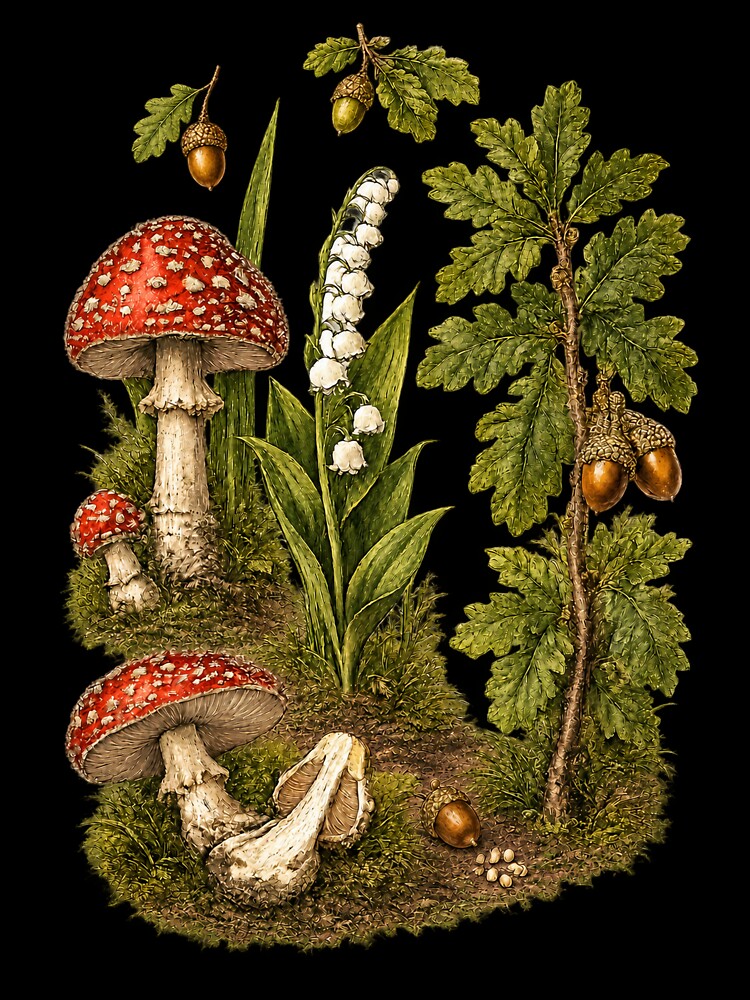 Vintage Fly Agaric, Lily of the Valley & Oak Botanical Art by Anyshca