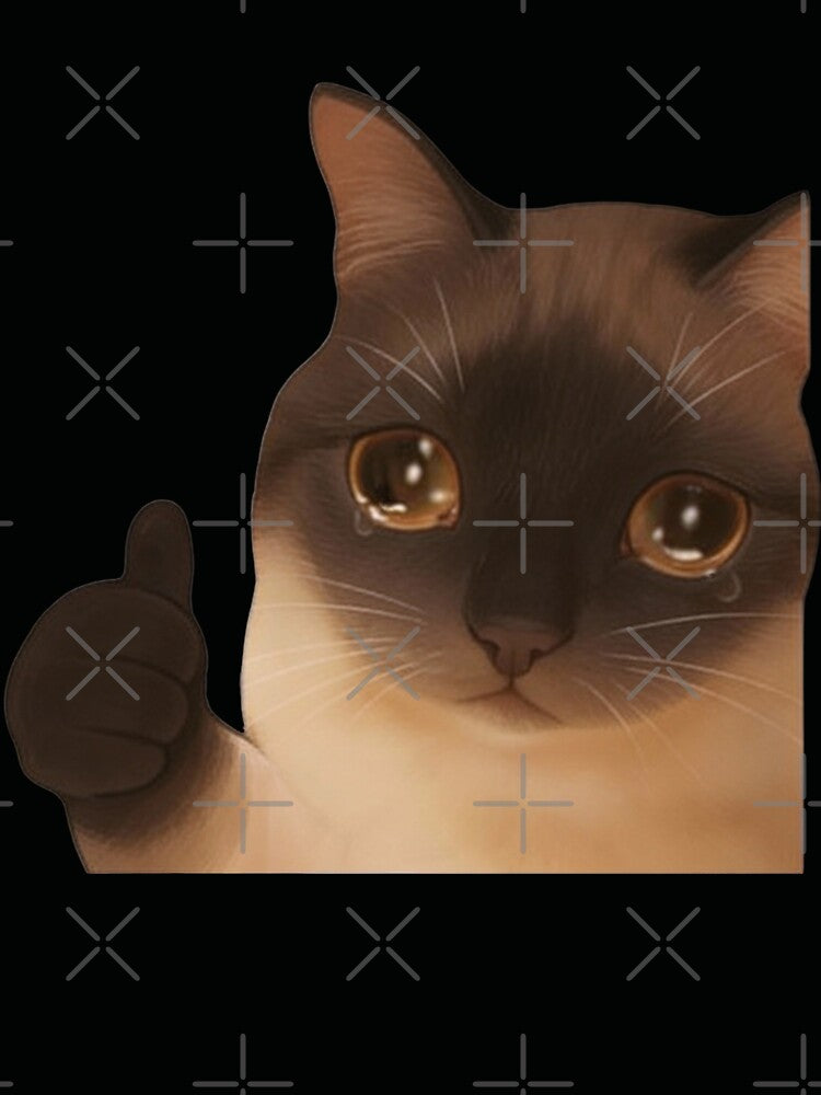 Cat crying meme Everything’s good cat by GabbyKash