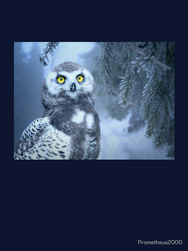 Snow owl by Prometheus2000