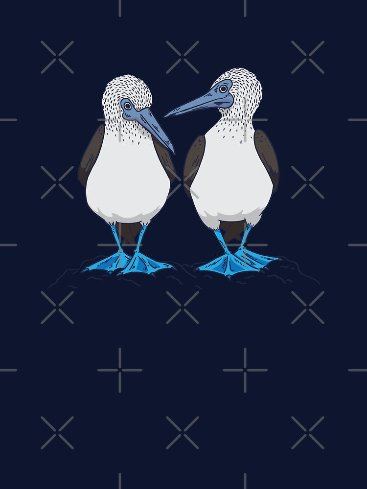 Blue-footed booby bird by DerSenat