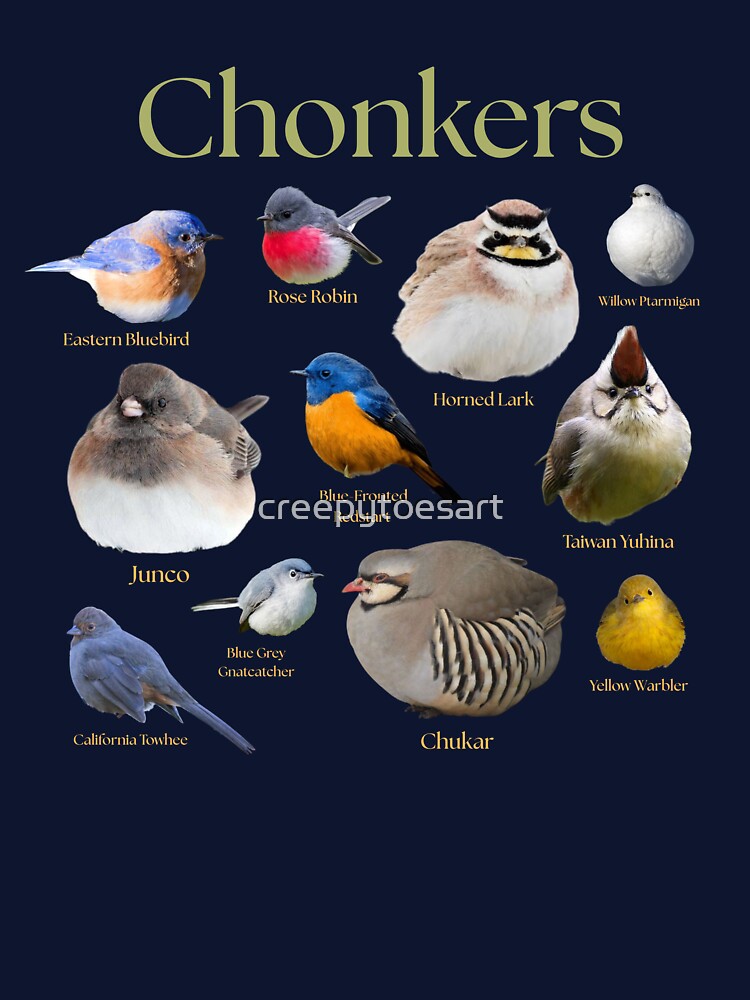 Funny Fat Bird Chonker Birds Cute Bird Watching by creepytoesart