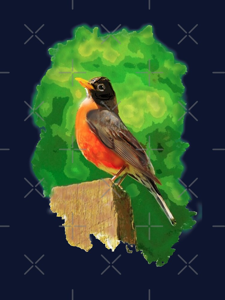robin by THE AMERICAN TEEVANGELIST