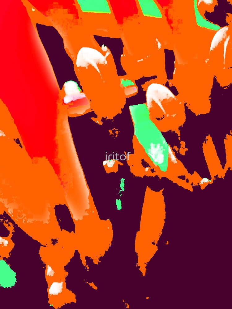 Orange eggplant by Iritof by iritof