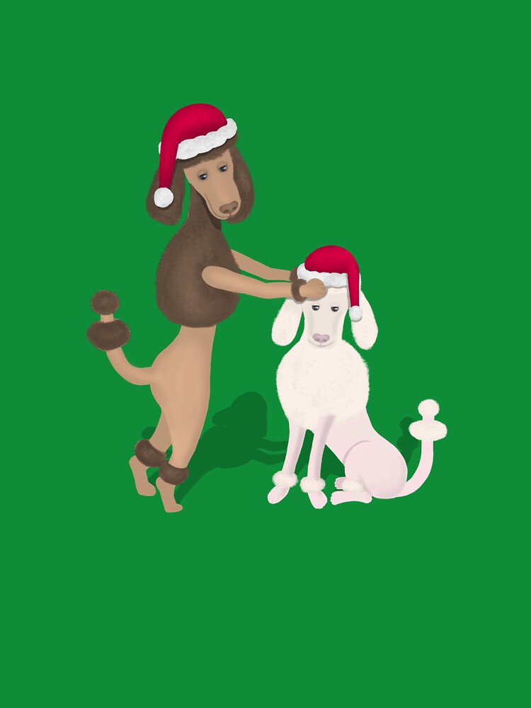 Dogs with christmas hats by Daniel Vasco