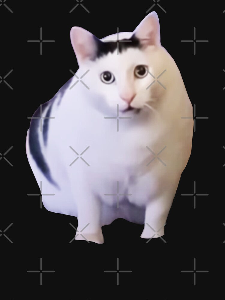 Huh Cat Chonky Ben Meme by LeChocoholic
