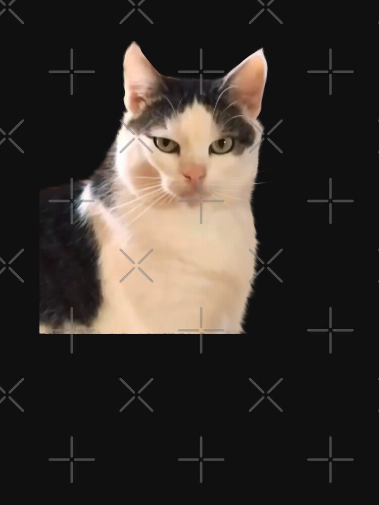 Girl Cat staring eyes meme, sarcastic funny cat by Prime_Store