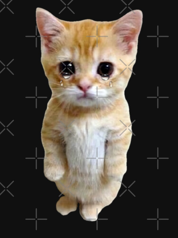 HQ Crying Cat Standing Up Meme by fomodesigns