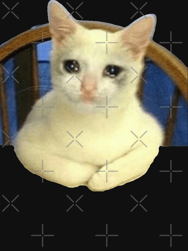 Crying Cat Chair Meme - Crying Cat Meme Crying Cat Chair Meme, Cat Meme, Crying Cat , Crying Cat Sitting by CaptianCringe