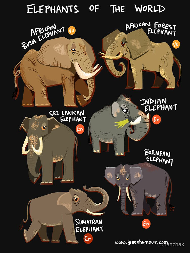 Elephants of the World by Green Humour Unisex