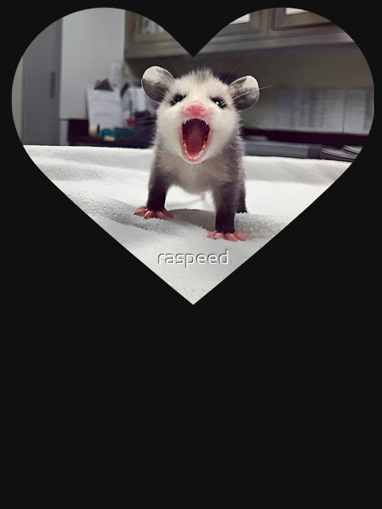 Dishwasher Possum by raspeed