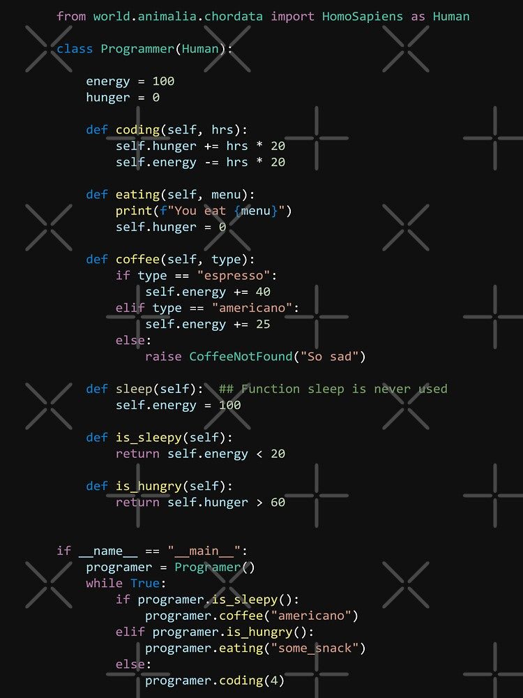 I'm programmer I can't sleep by Amilaz