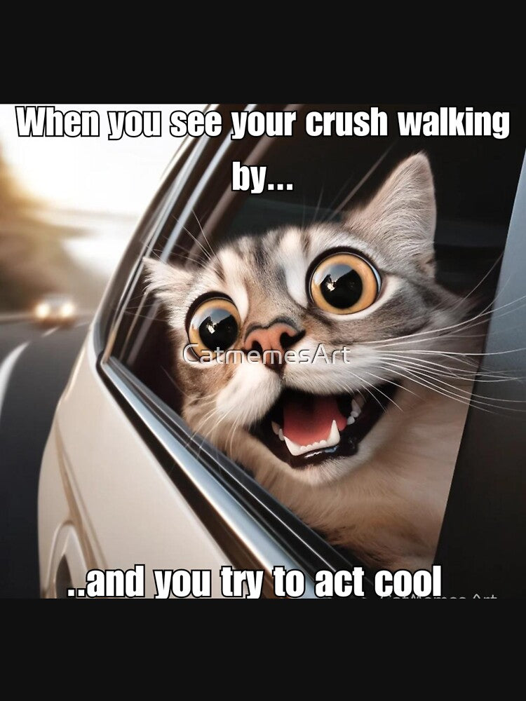 Funny Screaming Cat Meme - When You See Your Crush Walking By by CatmemesArt