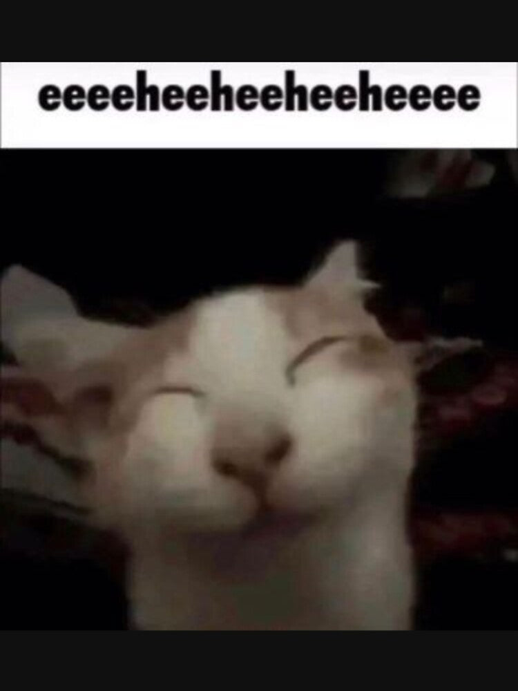 eeeeheeheeheeheeee cat by CatteryAcid